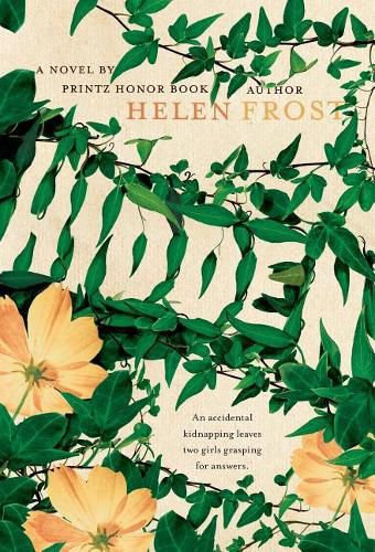 Cover image for Hidden