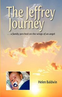 Cover image for The Jeffrey Journey - 2010 Edition
