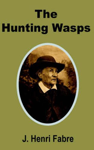 Cover image for The Hunting Wasps