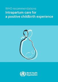 Cover image for WHO recommendations on intrapartum care for a positive childbirth experience