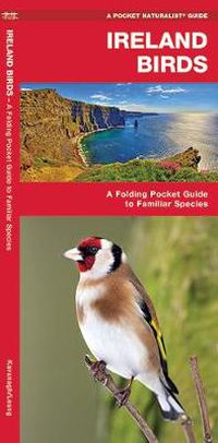 Cover image for Ireland Birds: A Folding Pocket Guide to Familiar Species