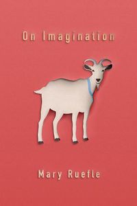 Cover image for On Imagination