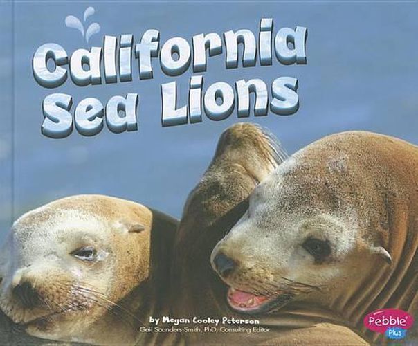 California Sea Lions