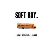 Cover image for soft boy.