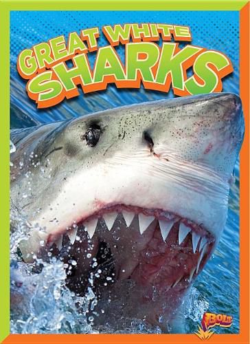 Cover image for Great White Sharks