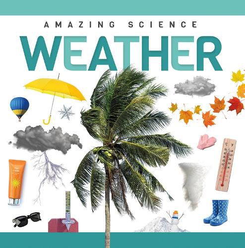 Cover image for Weather