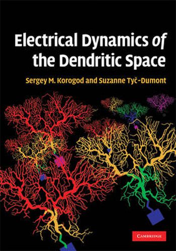 Cover image for Electrical Dynamics of the Dendritic Space