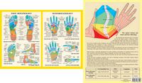 Cover image for Hand & Foot Reflexology -- A4