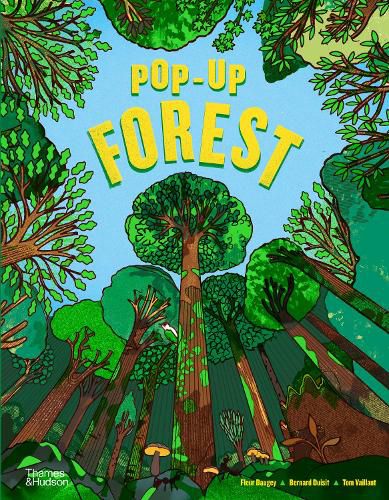 Cover image for Pop-Up Forest