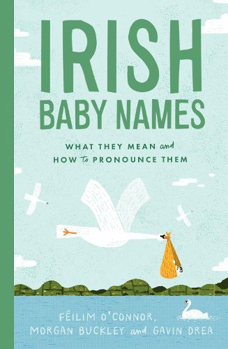 Cover image for Irish Baby Names
