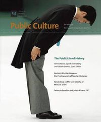 Cover image for The Public Life of History