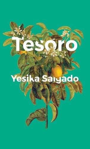 Cover image for Tesoro