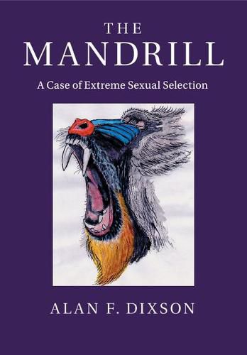 Cover image for The Mandrill: A Case of Extreme Sexual Selection