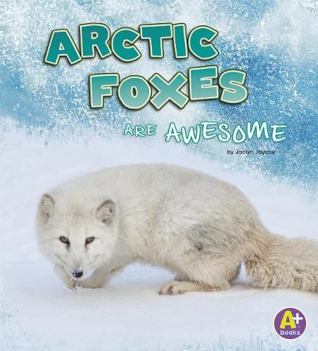 Cover image for Arctic Foxes are Awesome