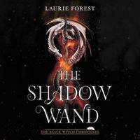 Cover image for The Shadow Wand Lib/E
