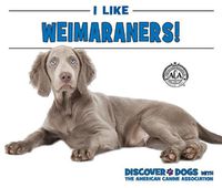 Cover image for I Like Weimaraners!