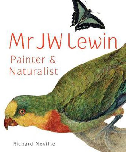 Mr JW Lewin, Painter &  Naturalist