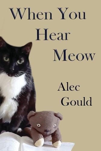 Cover image for When You Hear Meow