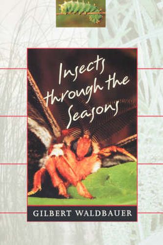 Cover image for Insects through the Seasons