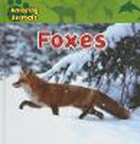 Cover image for Foxes