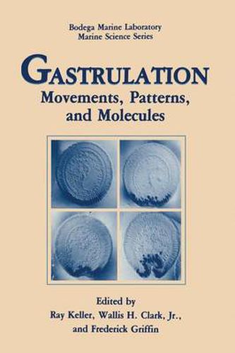 Cover image for Gastrulation: Movements, Patterns and Molecules