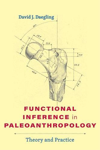 Cover image for Functional Inference in Paleoanthropology: Theory and Practice