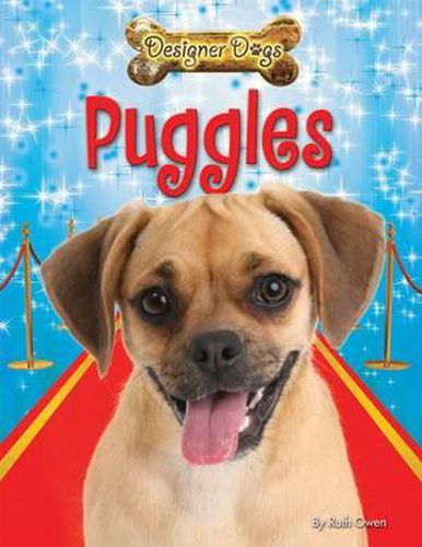 Cover image for Puggles