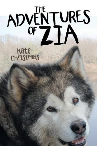 Cover image for The Adventures of Zia