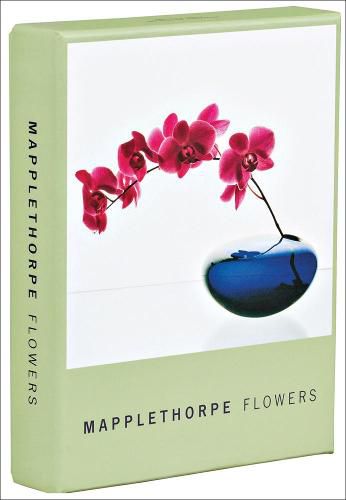 Cover image for Mapplethorpe Flowers Notecard Box