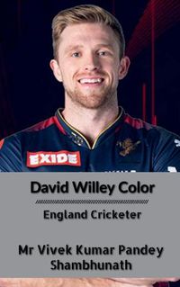 Cover image for David Willey Color