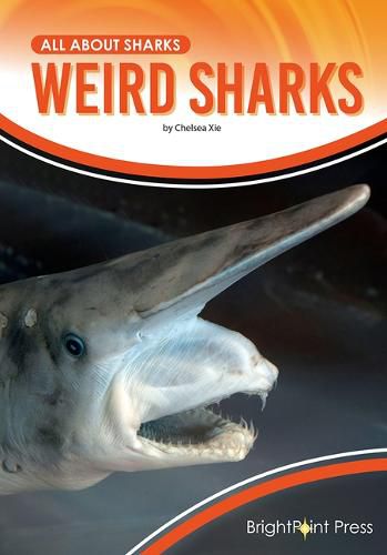 Cover image for Weird Sharks