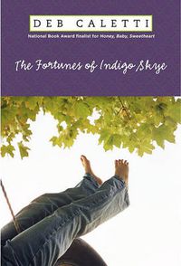 Cover image for The Fortunes of Indigo Skye
