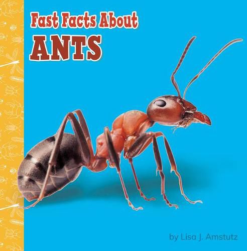 Cover image for Fast Facts about Ants