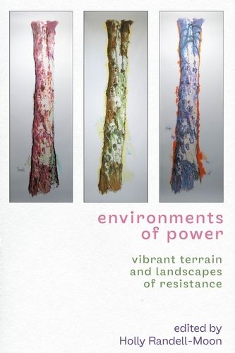 Cover image for Environments of Power