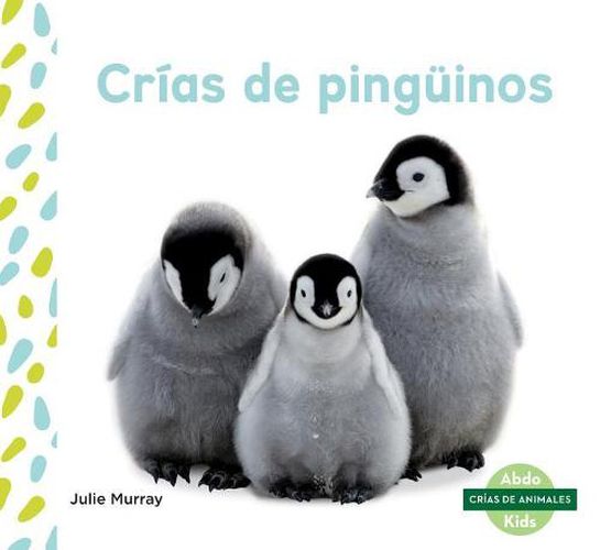 CriAs De PinguInos / Penguin Chicks