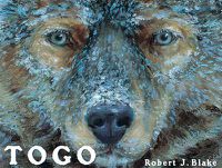 Cover image for Togo