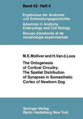 The Ontogenesis of Cortical Circuitry: The Spatial Distribution of Synapses in Somesthetic Cortex of Newborn Dog