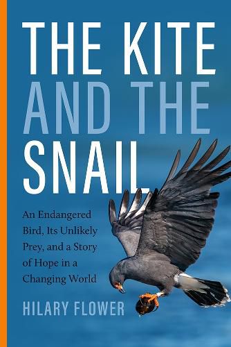 Cover image for The Kite and the Snail