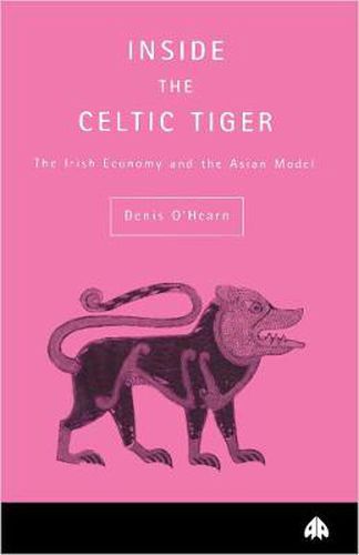 Cover image for Inside the Celtic Tiger