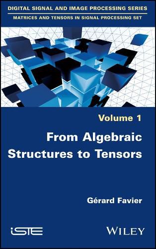 Cover image for From Algebraic Structures to Tensors