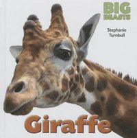 Cover image for Giraffe