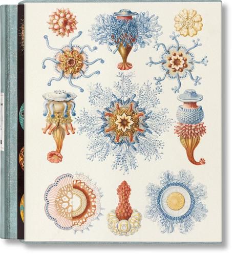 Cover image for The Art and Science of Ernst Haeckel