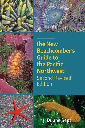 Cover image for The New Beachcomber's Guide to the Pacific Northwest