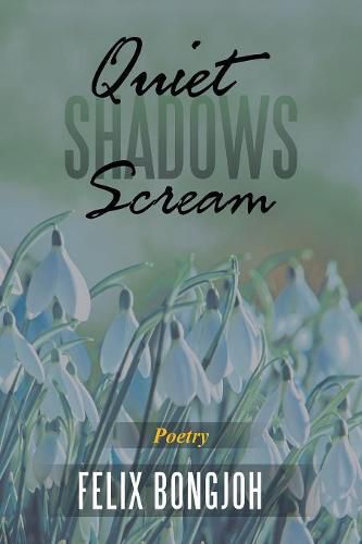 Cover image for Quiet Shadows Scream