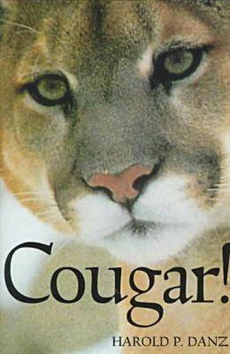 Cover image for Cougar