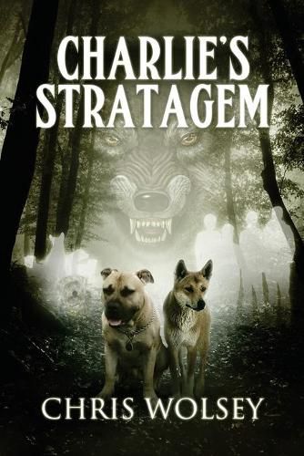 Cover image for Charlie's Stratagem