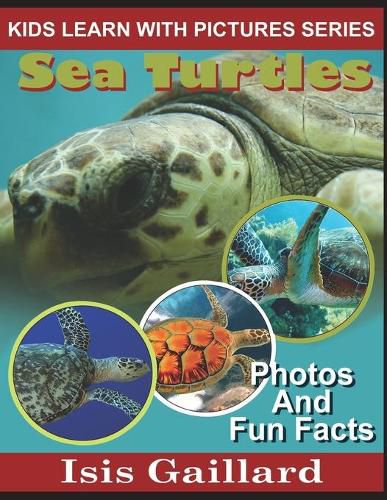 Cover image for Sea Turtles: Photos and Fun Facts for Kids