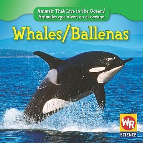 Whales / Ballenas