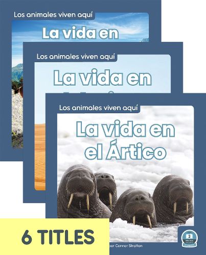 Cover image for Los Animales Viven Aqui (Animals Live Here) (Set of 6)