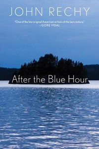 Cover image for After the Blue Hour